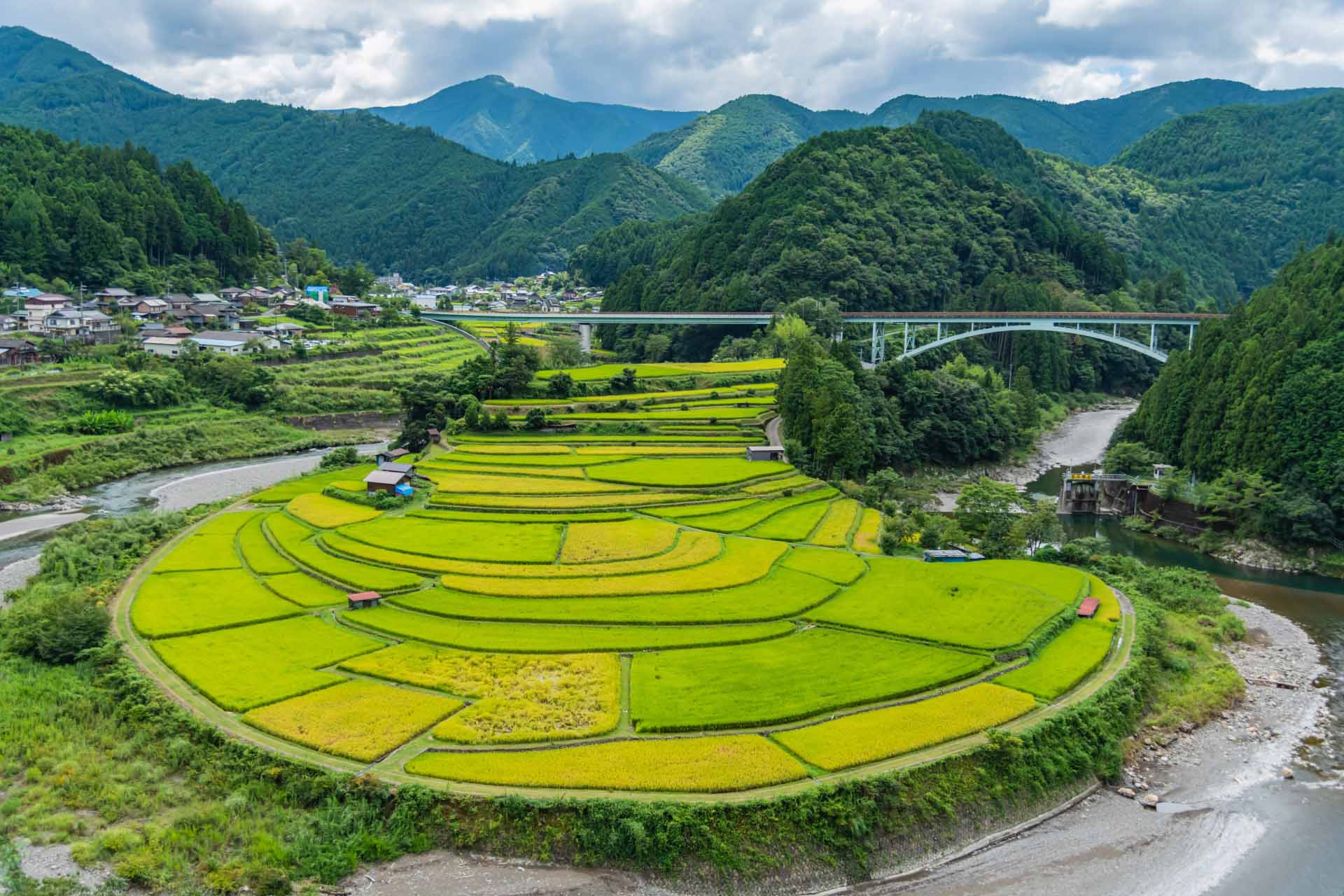 あらぎ島